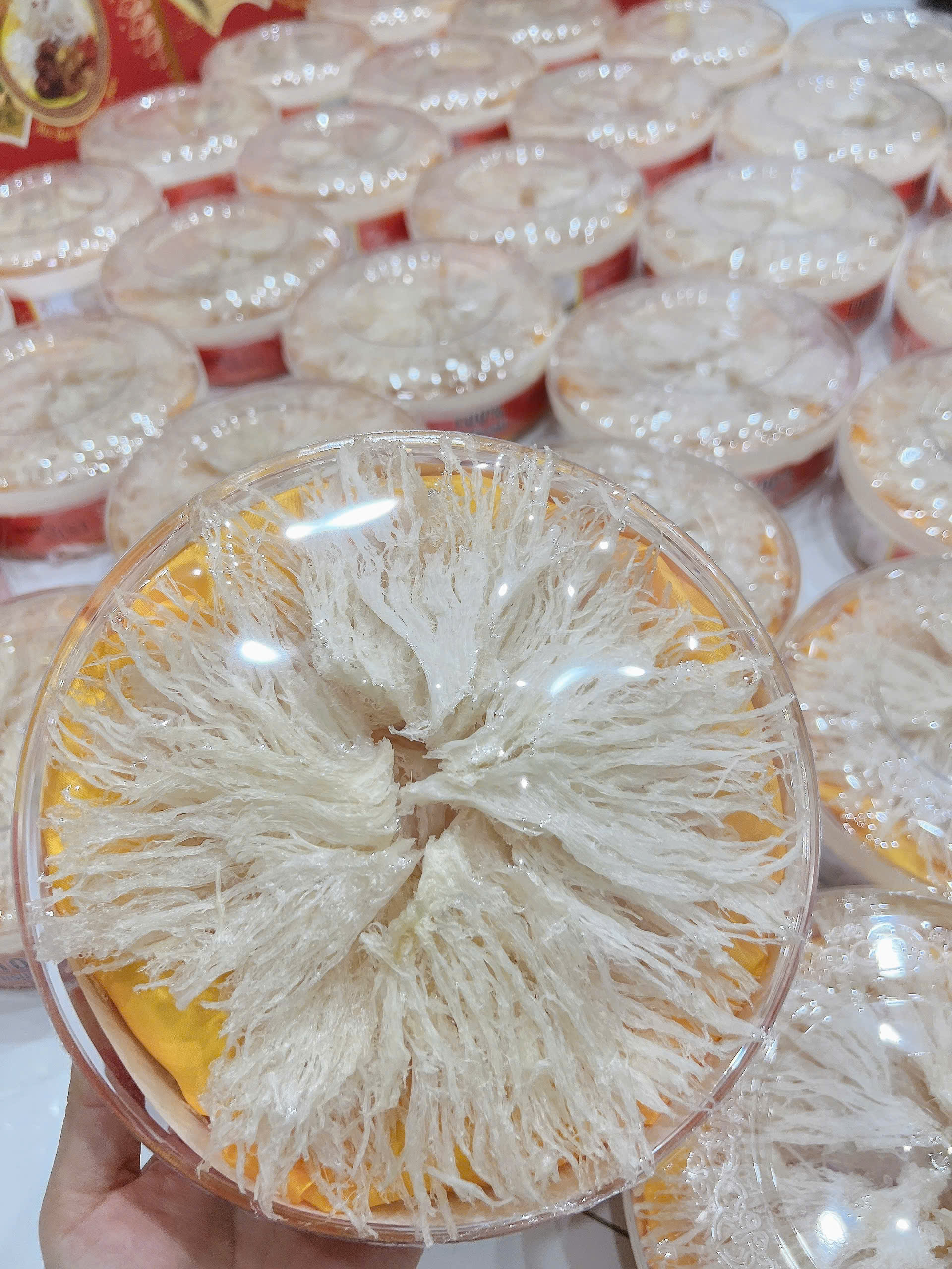 Chân yến làm sạch